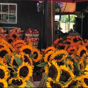 Meet your Posher, Annmarie